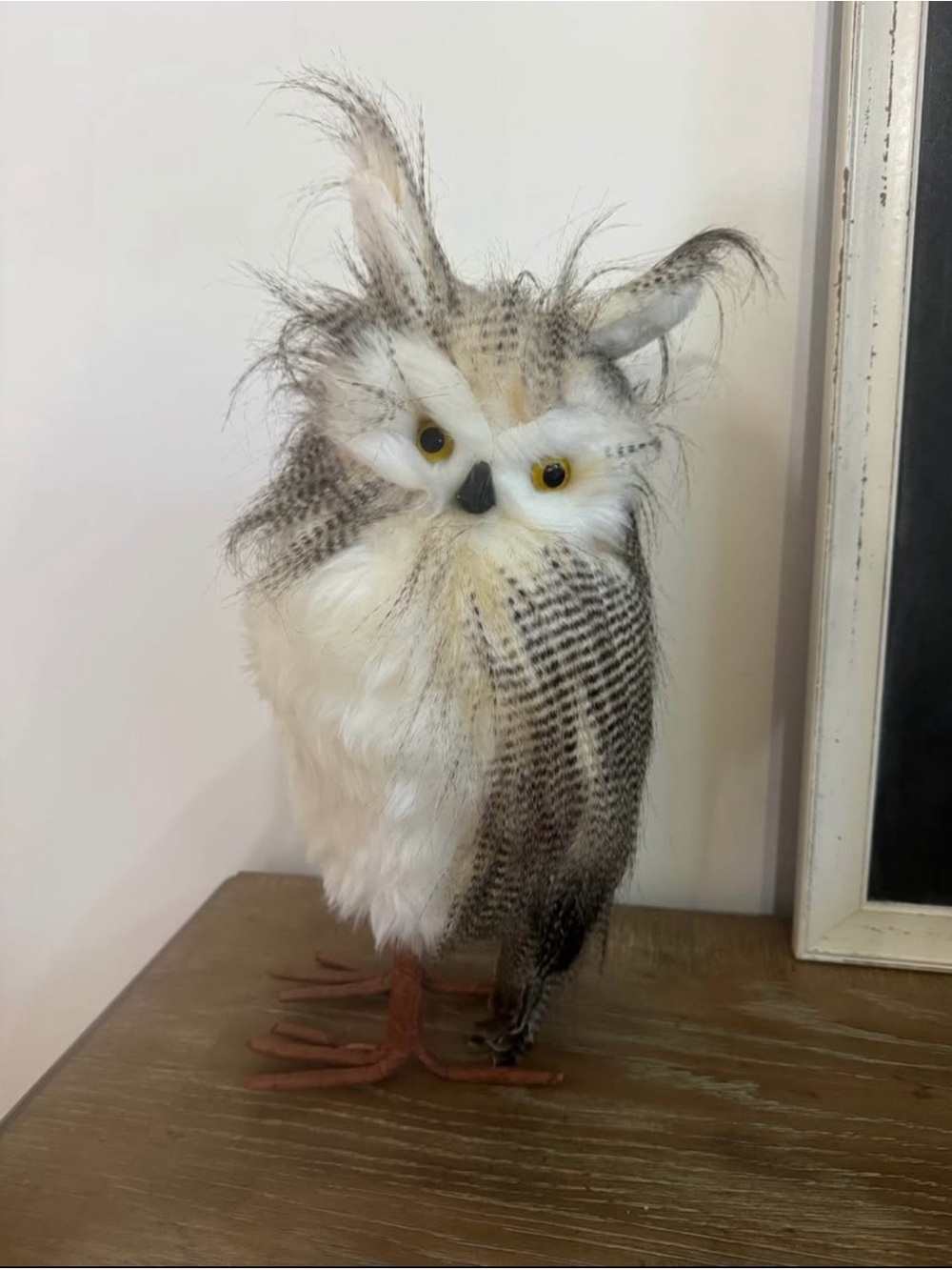 Decorative Owl White and Brown